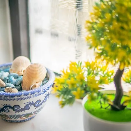 Jb - Monte Joao Moleiro With Shared Pull Nyaraló Olhão