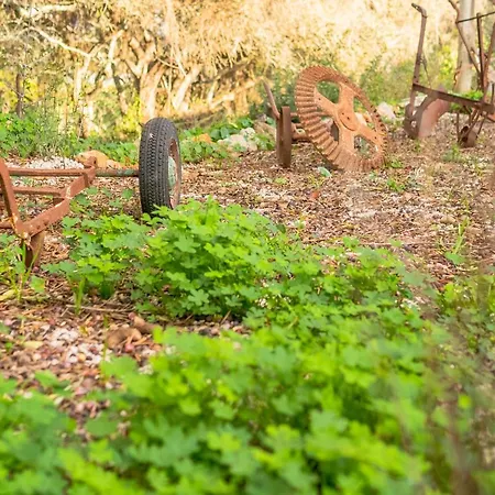 Jb - Monte Joao Moleiro With Shared Pull * Olhão