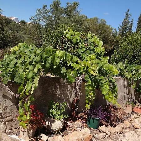 בית נופש Jb - Monte Joao Moleiro With Shared Pull *