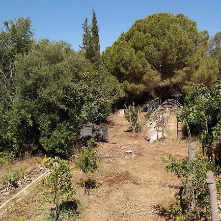 Jb - Monte Joao Moleiro With Shared Pull *