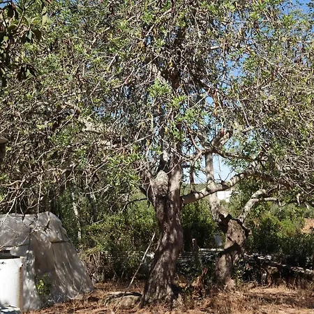 Jb - Monte Joao Moleiro With Shared Pull בית נופש *