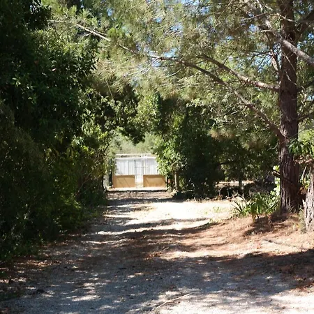 Jb - Monte Joao Moleiro With Shared Pull * Olhão