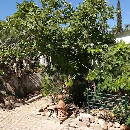 Jb - Monte Joao Moleiro With Shared Pull