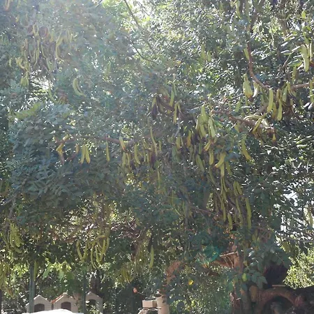 בית נופש Jb - Monte Joao Moleiro With Shared Pull Olhão