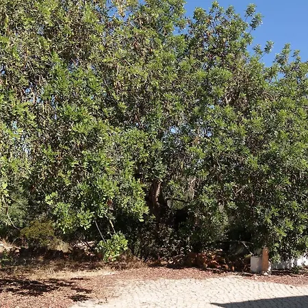 בית נופש Jb - Monte Joao Moleiro With Shared Pull *