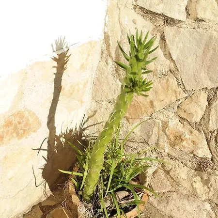 Jb - Monte Joao Moleiro With Shared Pull Nyaraló