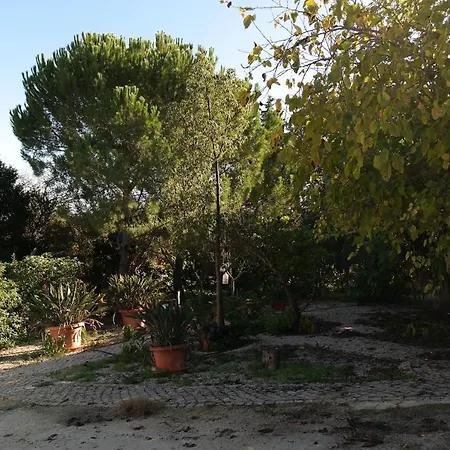 Jb - Monte Joao Moleiro With Shared Pull Nyaraló Olhão