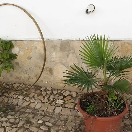 Jb - Monte Joao Moleiro With Shared Pull בית נופש Olhão