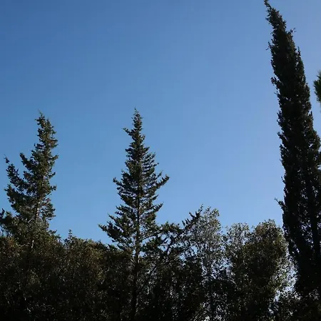 בית נופש Jb - Monte Joao Moleiro With Shared Pull *