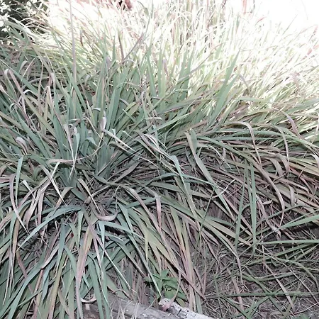 Jb - Monte Joao Moleiro With Shared Pull Olhão