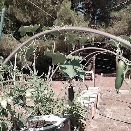 Jb - Monte Joao Moleiro With Shared Pull * Olhão